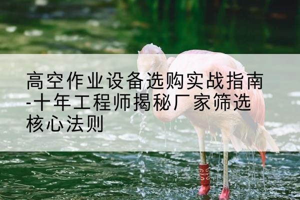长兴剪叉式升降机厂家-高空作业设备选购实战指南-十年工程师揭秘厂家筛选核心法则