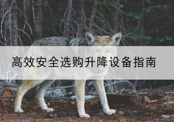 长兴升降货梯厂家推荐-*安全选购升降设备指南