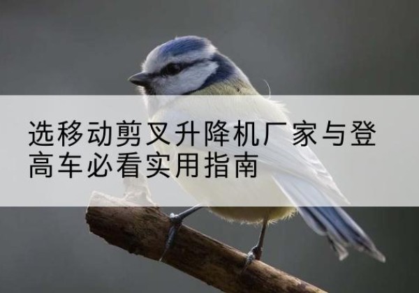 长兴电动升降机厂家-选移动剪叉升降机厂家与登高车必看实用指南
