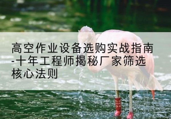 长兴剪叉式升降机厂家-高空作业设备选购实战指南-十年工程师揭秘厂家筛选核心法则